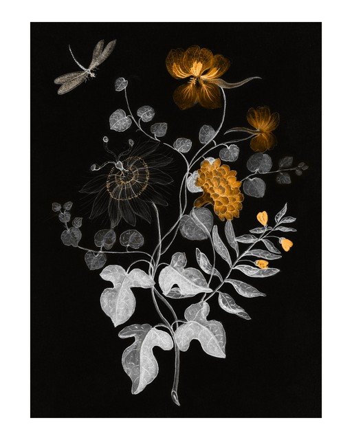 Botanical Illustration of Dragonfly and Flowers