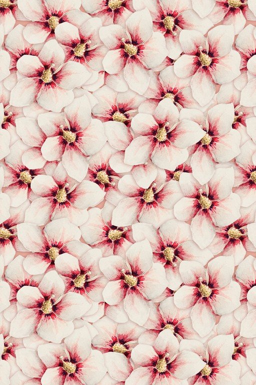 Delicate Pink and White Floral Pattern