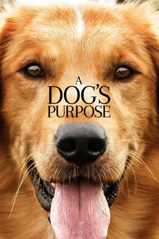 A Dog's Purpose Movie Poster