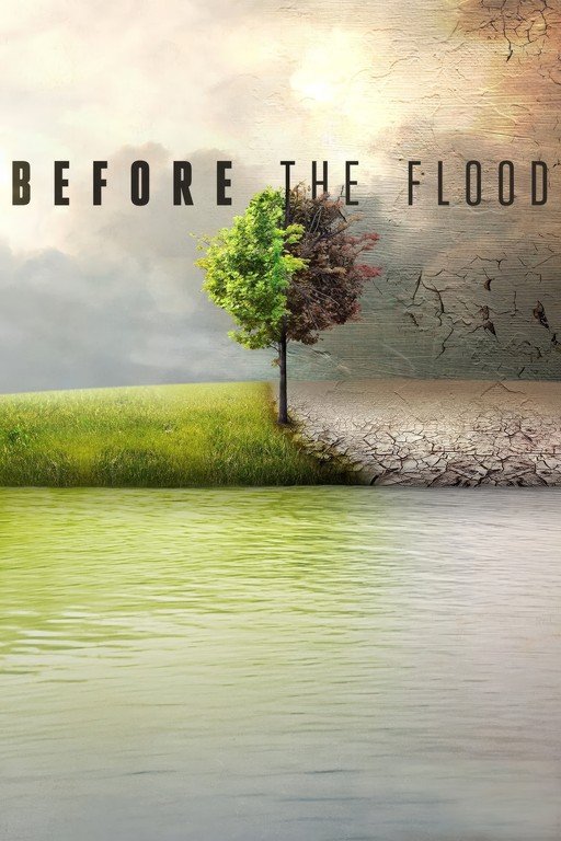 Before the Flood: A Stark Contrast of Nature