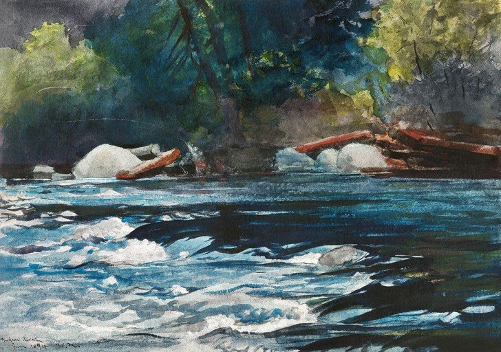 Rushing River with Logs and Rocks