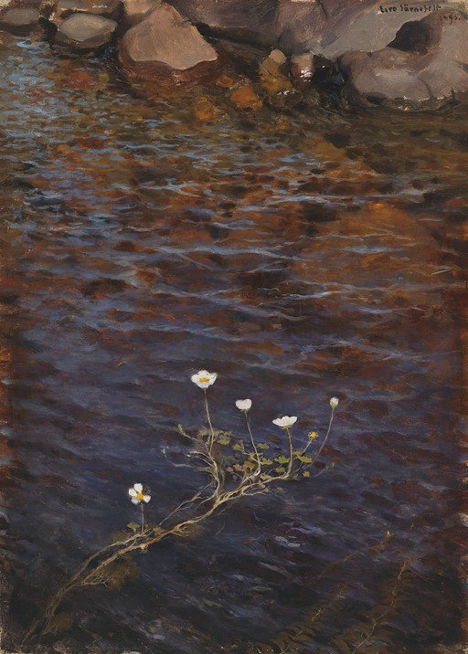 Water Lilies and River Rocks