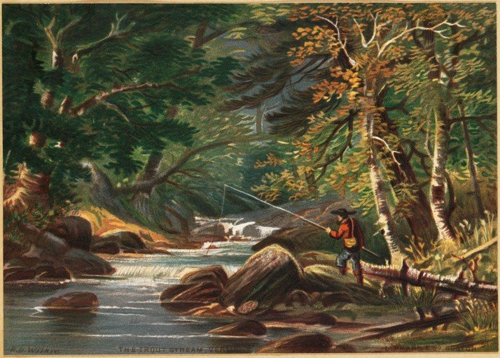 Man Fishing in a Forest Stream