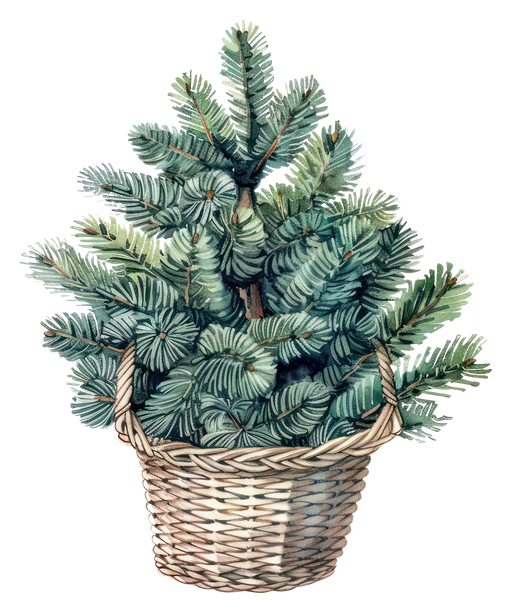 Watercolor Pine Tree in Woven Basket