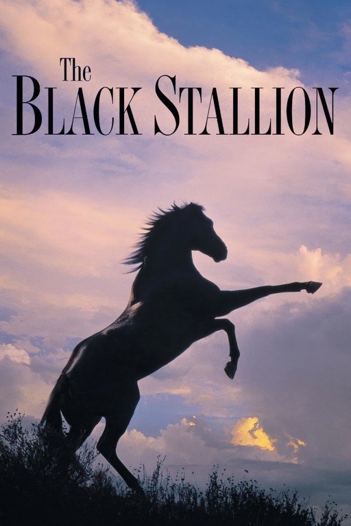 The Black Stallion Movie Poster