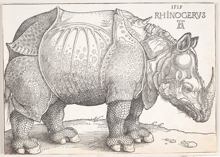 Albrecht Dürer's Rhinoceros Woodcut