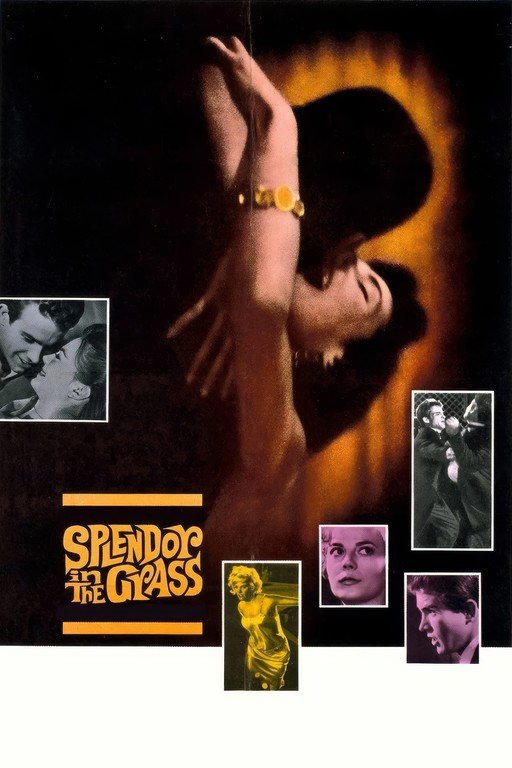 Splendor in the Grass Movie Poster