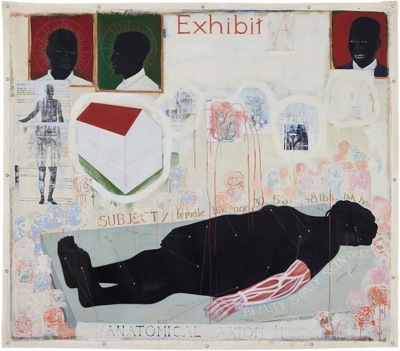 Anatomical Axiom: A Mixed Media Exploration of Identity