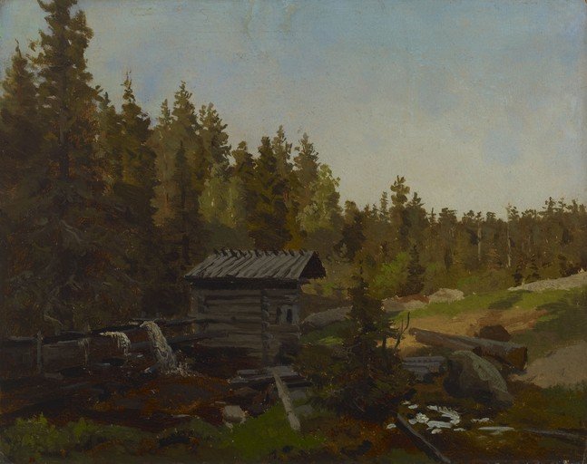 Rustic Cabin in a Dense Forest Landscape