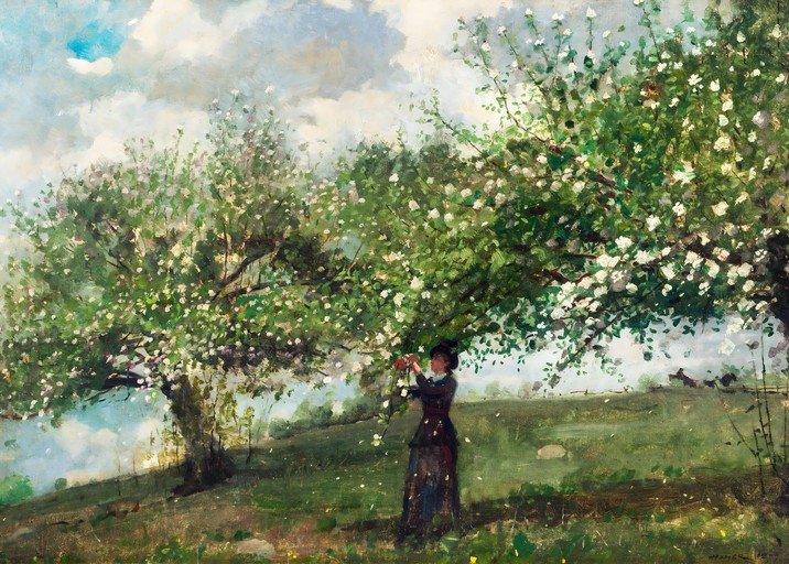 Woman Picking Flowers Under a Blooming Tree