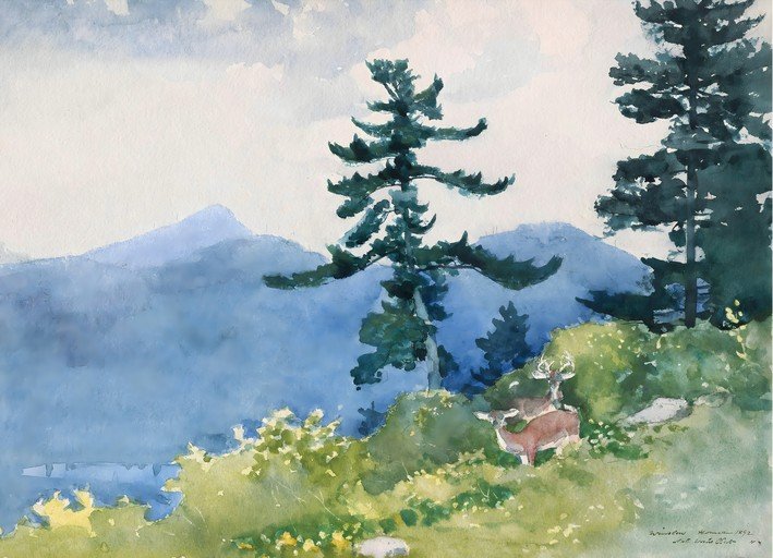 Deer in a Misty Mountain Landscape Watercolor