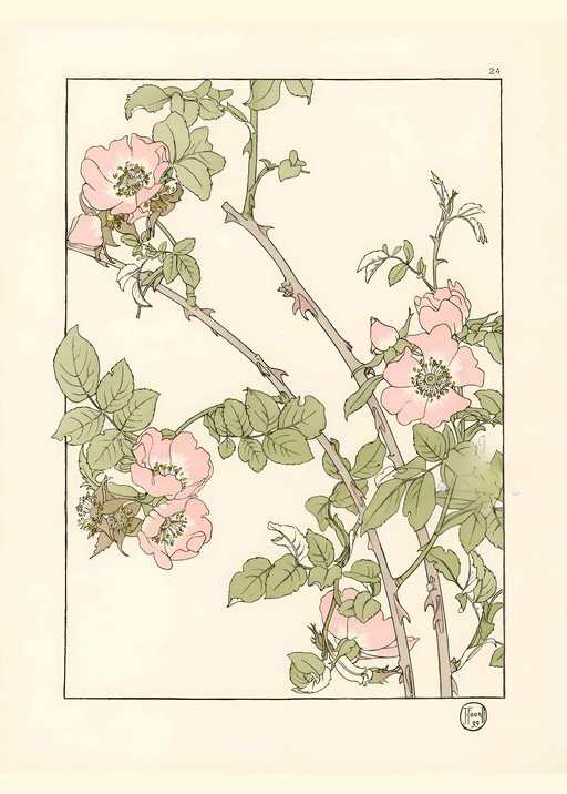 Art Nouveau Wild Rose Illustration