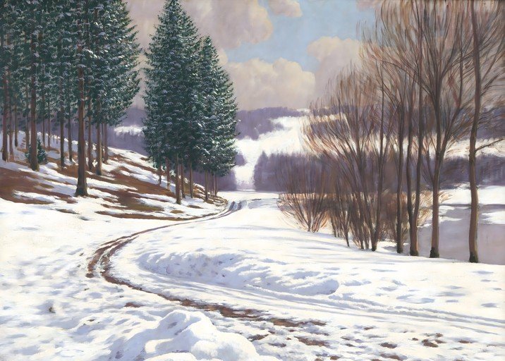 Winter Landscape with Snowy Path and Evergreen Trees